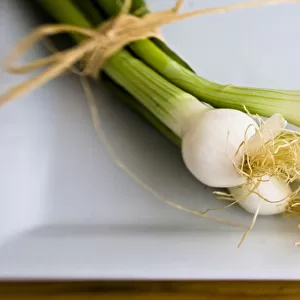 Small bindle of fresh salad onions on white plate credit: Marie-Louise Avery /