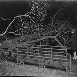 Storm damage in Sidcup, Kent. 1939