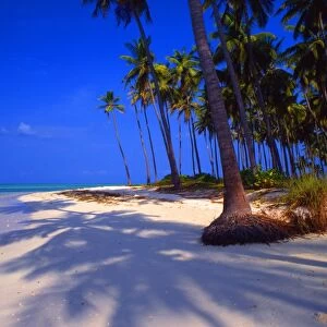 Tropical beauty. Laccadives, or Lackshadweep islands. Island in the Bangaram atoll