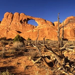 USA - Arches in National Park, Utah, Arizona - ?TopFoto / CW