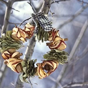 Winter wreath of dried apples and bay leaves and gingham ribbon, hanging outside