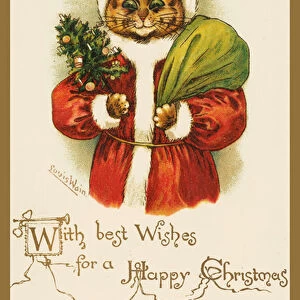 Cat wearing a Father Christmas costume (chromolitho)
