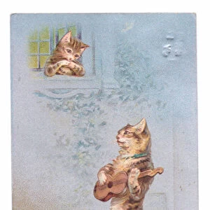 Edwardian postcard of a cat playing the guitar and serenading another cat, c