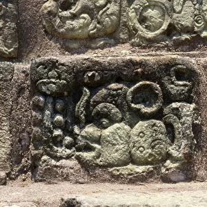 Glyph of the city of Copan on the Hieroglyphic Stairway, Late Classic Period (600-900) c
