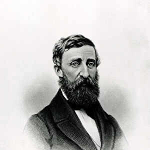 Henry David Thoreau (1817-62) (engraving) (b / w photo)