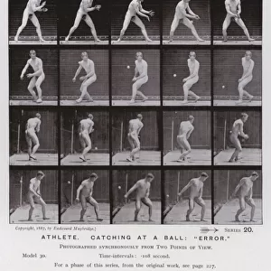 The Human Figure in Motion: Athlete, catching at a ball, "error"(b / w photo)