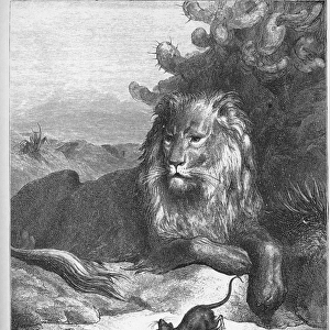 Le lion et le rat - The Lion and the Mouse - from Fables