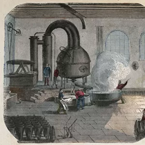 Manufacture of sugar in a factory. 19th century illustration. Bianchetti collection