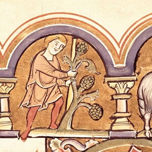 March: Grafting Trees, from the Psalter of St. Elizabeth (vellum)