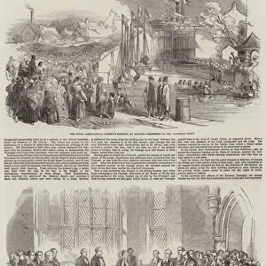 Meeting of the Royal Agricultural Show at Galway (engraving)