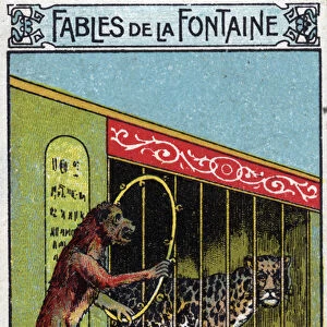 Monkey and Leopard - Fables by Jean de La Fontaine (1621-95