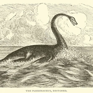 The Plesiosaurus, restored (engraving)