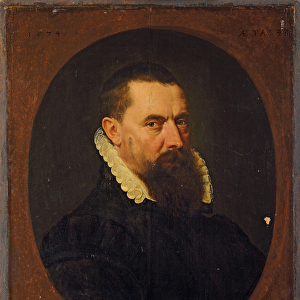 Portrait of a bearded gentleman, 1574 (oil on panel)