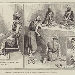 "Priests"of the Burmese "White Elephant"at the Zoological Gardens (engraving)