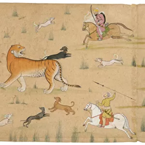 Raja Balwant Dev Singh on a tiger hunt, c. 1750 (opaque pigments & gold on wasli)