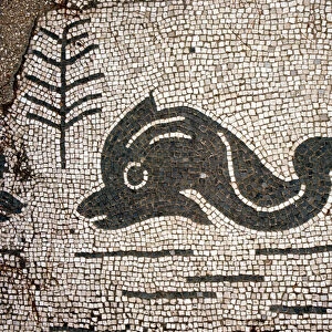Representation of a dolphin after a mosaic in the square of the Corporazioni of Ostia