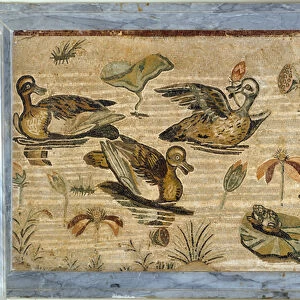 Roman art: duck, frog and water lilies in a pond. Mosaic from the villa of fauna in