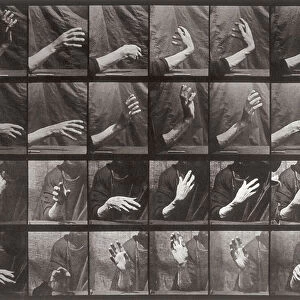 Sequence with hand movement, plate 535 from Animal Locomotion (collotype)