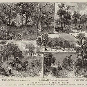 Sketches in Highgate Woods (engraving)