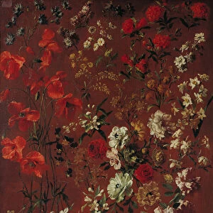 Study of Flowers, 1720 (oil on canvas)