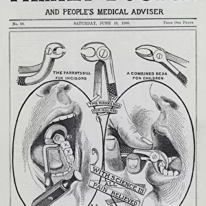 The teeth in health and disease (engraving)