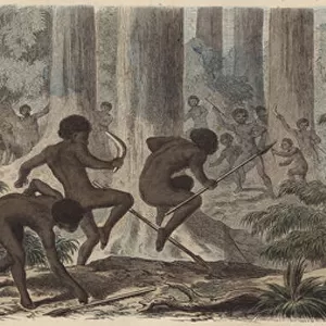 Two tribes of Australian Aborigines fighting (coloured engraving)