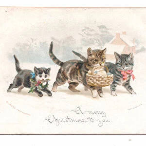 A Victorian Christmas card of two cats and a kitten carrying holly