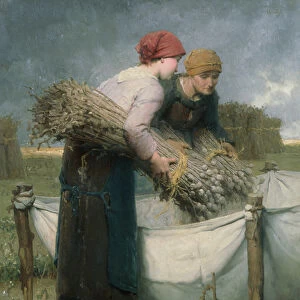 Women in the Field, 1882 (oil on canvas)