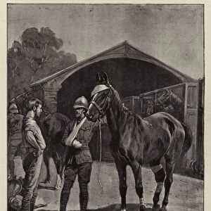 Wounded Comrades, A Scene at Pietermaritzburg (litho)
