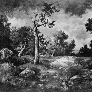 Edge Woods 1872 Oil wood 14 7 / 8 x 18 1 / 2 37. 8 47 cm