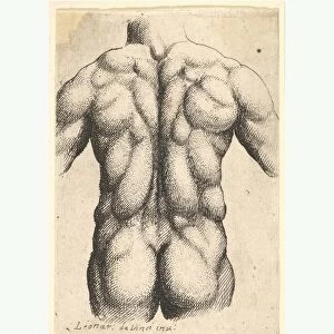 Naked male torso 1645 Etching state 3 9 / 16 x 2 1 / 16