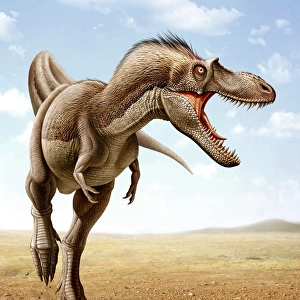 Gorgosaurus running across an open desert