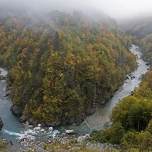 Buk Sokolovina (cascade) in Beech forest, Tara Canyon, Durmitor NP, Montenegro, October