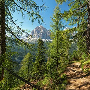 Mountain trail winding through forest on mountainside with Tofane mountains in background, Dolomites, Italy. September, 2020