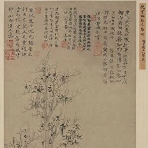 Bamboo, Rock, and Tall Tree, c. 1300s. Creator: Ni Zan (Chinese, 1301-1374)
