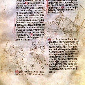 Chronic or Llibre del Rey en Pere e dels seus antecessors passats …(Book of the king Peter