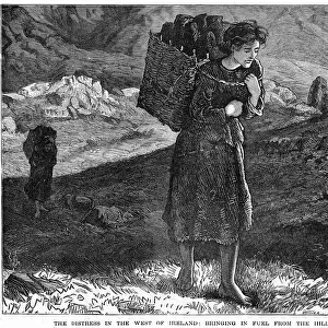 The Distress in the West Ireland: Bringing in Fuel from the Hills near Kylemore, 19th century