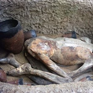 Early Egyptian burial known as Ginger