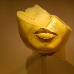 Egyptian Artifact Head. Creator: Viet Chu