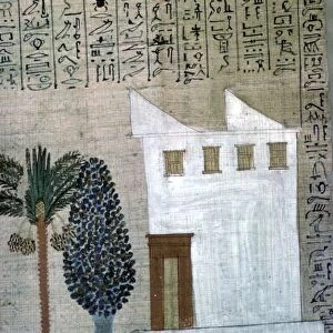 Egyptian image of a white-plastered brick house, 14th century BC