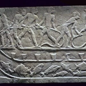 Egyptian relief of fishing from a boat with a net
