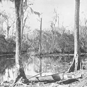 A Feeder of the St. Johns River, Florida, USA, c1900. Creator: Unknown