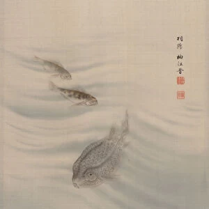 Fishes, ca. 1890-92. Creator: Seki Shuko