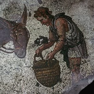 Detail of a floor mosaic in the Great Palace in Istanbul, 6th century