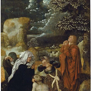 The Lamentation over Christ. Artist: Apt, Ulrich, the Elder (1460-1532)