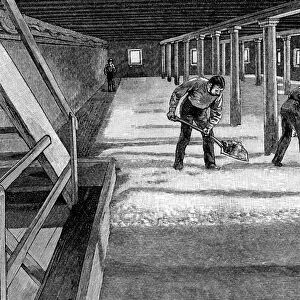 Malting floor in an American brewery, 1885