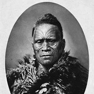 A Maori chief with elaborately tattooed face and weather cloak, 1902. Artist: Josiah Martin