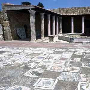 Mosaic at the Roman Villas, Carthage, Tunisia, c2nd-3rd century