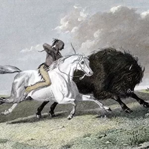 North American Indian hunting buffalo, 1861