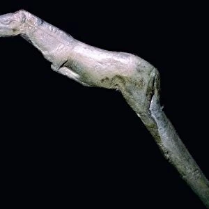 A paleolithic carved bone horse